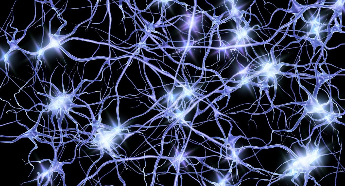 Нервная система человека Нейрон