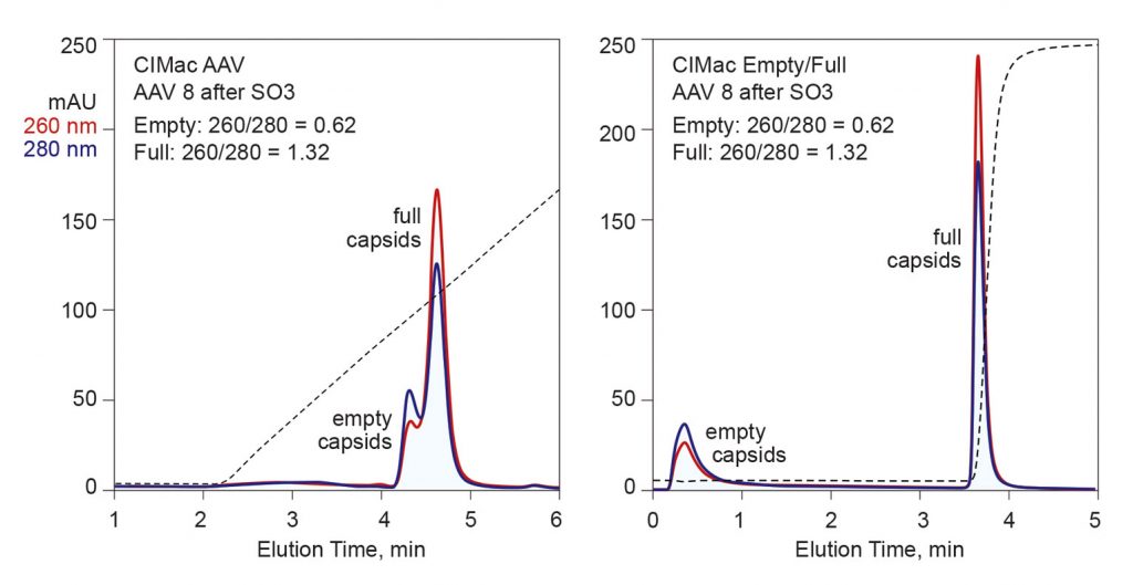 Figure 3. Fractionation of empty and full capsids 