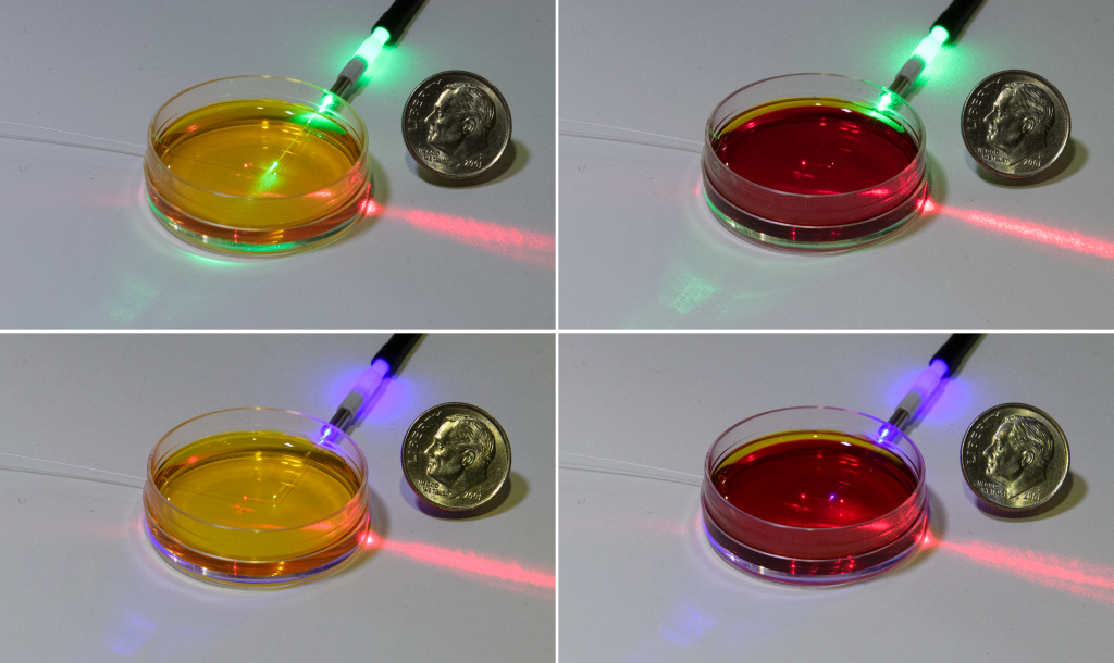 petri dish filled with a solution of phenol red, which changes color depending on acidity