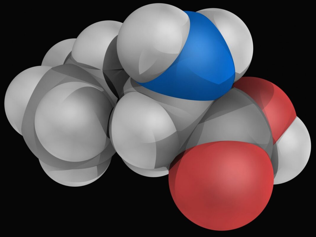 Taurine molecule