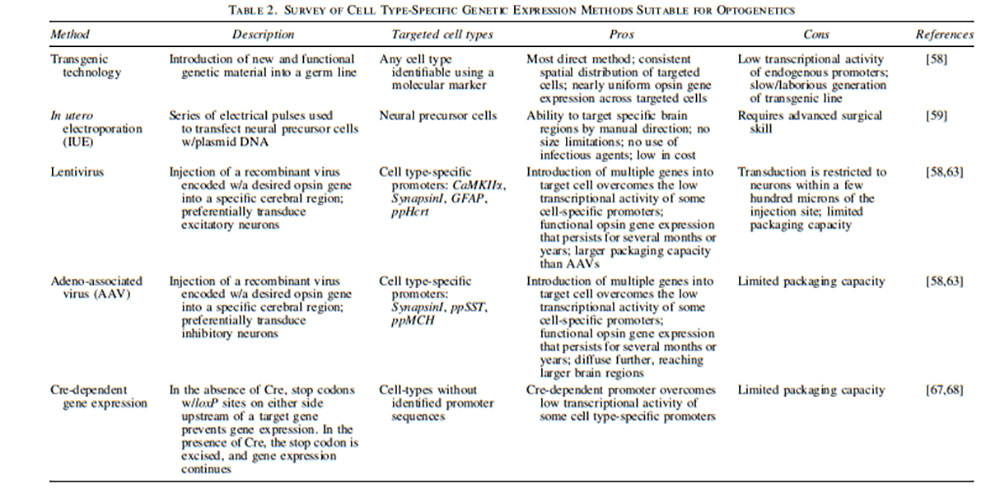 Table 2. Survey of Cell Type-Specific Genetic Expression Methods Suitable for Optogenetics