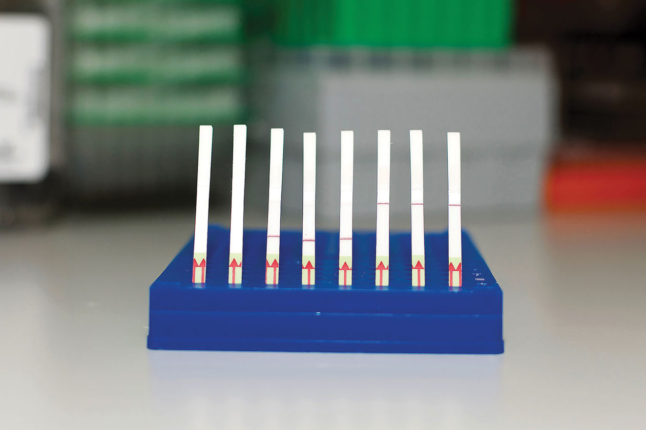 COVID-19 Drives CRISPR Diagnostics