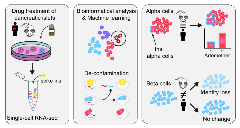 Rna-seq Method For Determining Single-cell Drug Responses