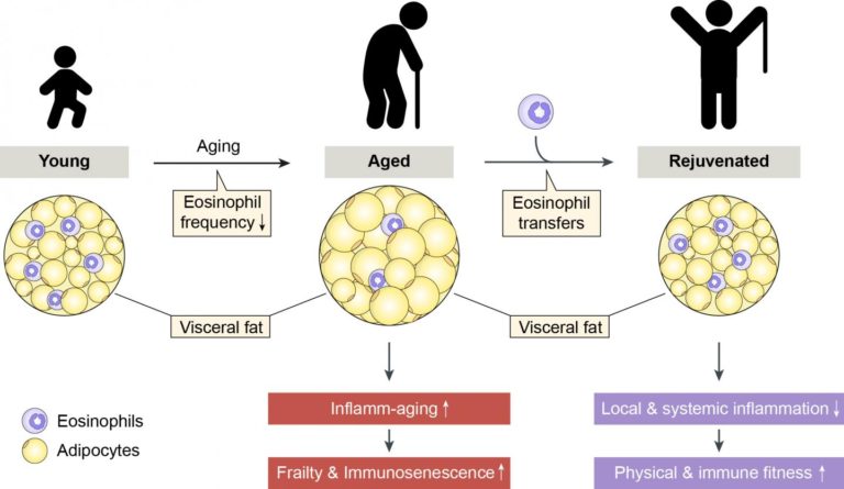 シマリスボディジェル Dr.Cell-aging ◎Q+ampleur.vn