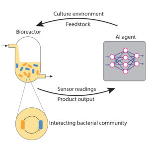 AI-driven approach to bioreactor optimization diagram
