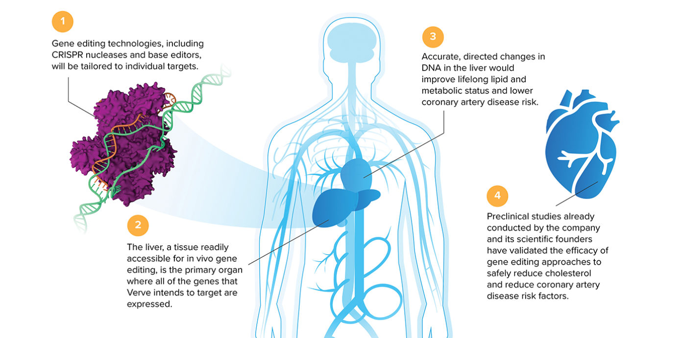 CRISPR Startups Give Genome Editing Several New Twists