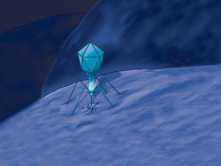 Lysins Unlimited: Phages’ Secret Weapon