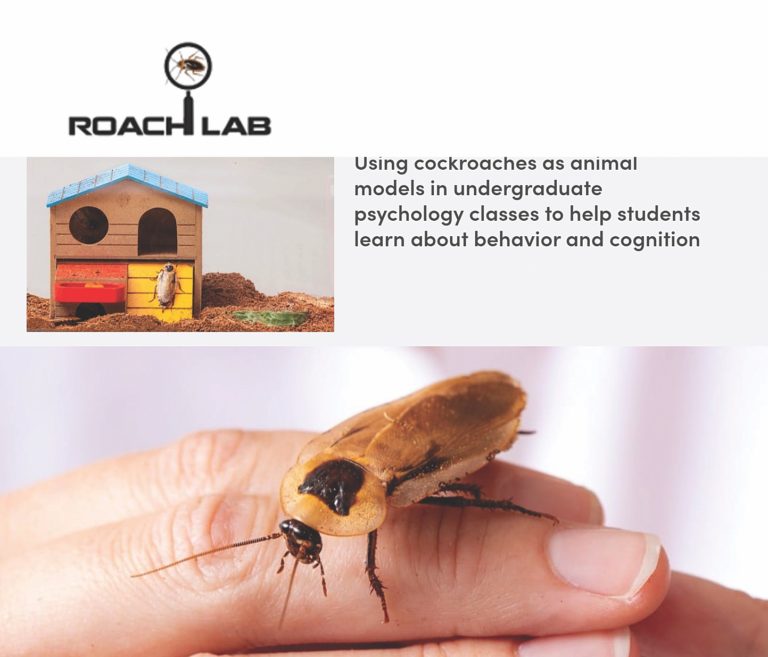 Roach Lab