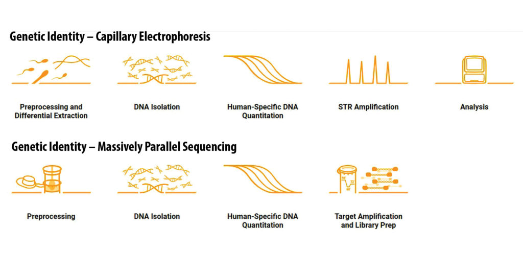 Promega technology for forensic DNA analysis