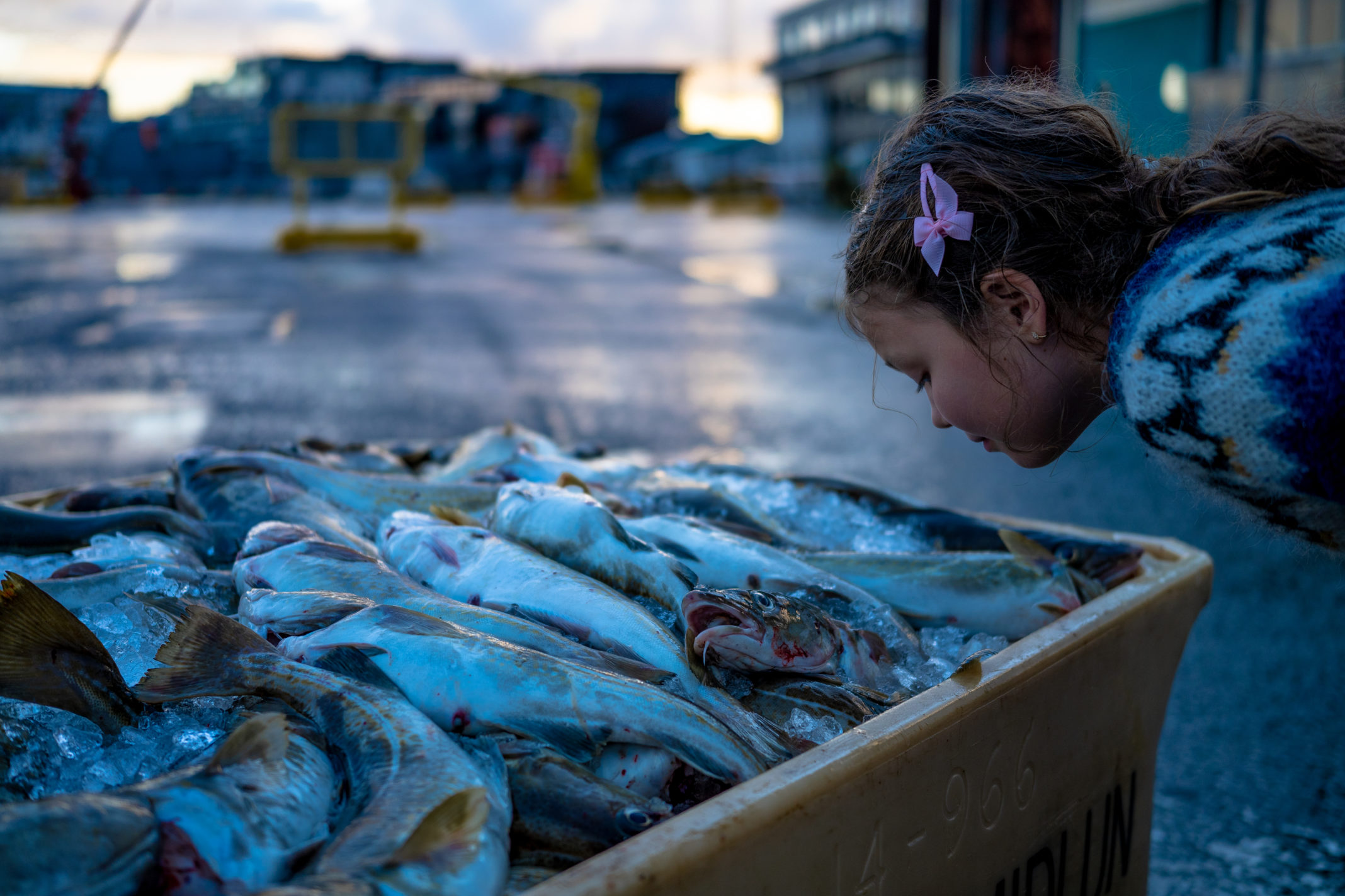 Запах рыбы с одежды. Fish genetic. Bad smell of Fish.