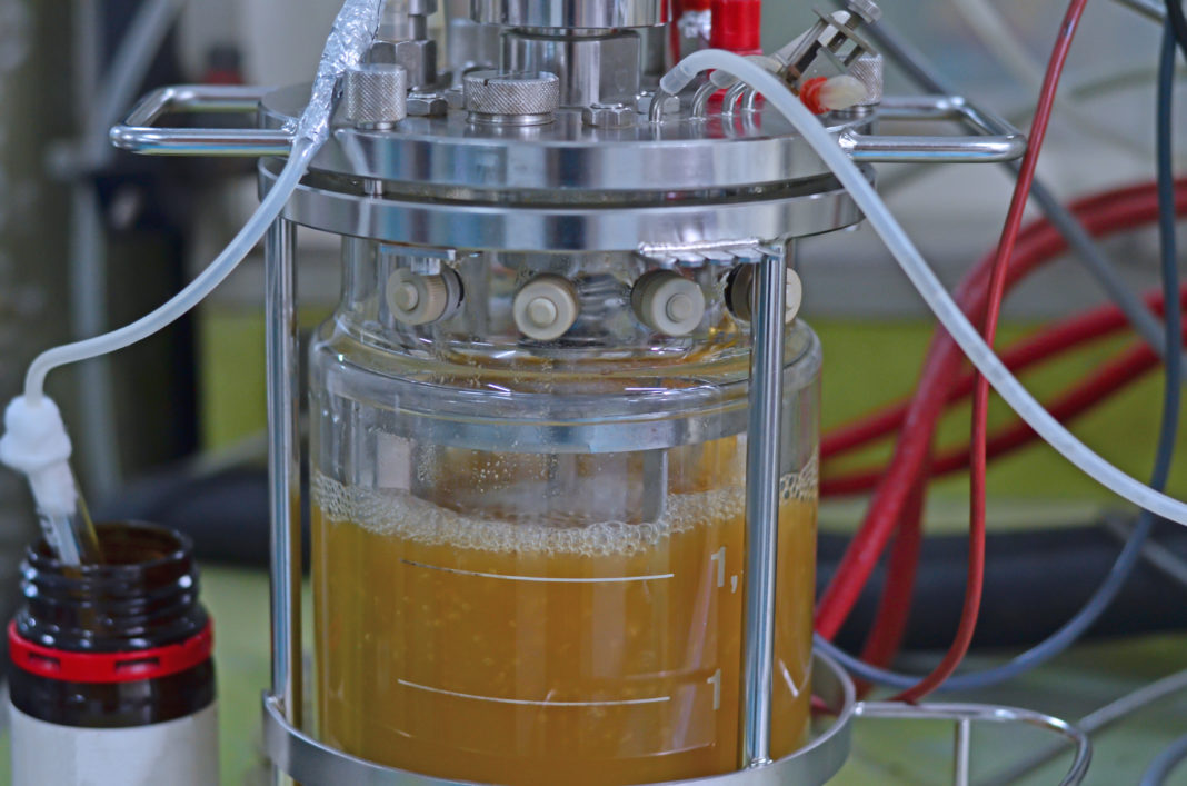 Ethanol production in laboratory fermentor or fermenter