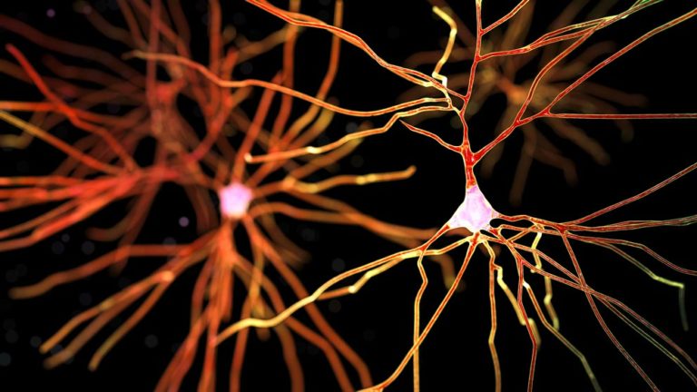 600 Trillion Synapses and Alzheimers Disease