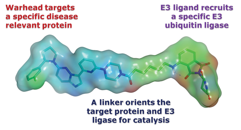 ubiquitin-mediated, small molecule–induced target elimination (uSMITE) technology
