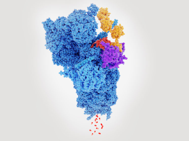 Nanobody Approach Prevents the Culling of Imperfect but Still-Functional Proteins