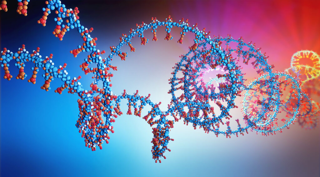 3d illustration of a part of RNA chain from which the deoxyribonucleic acid or DNA is composed