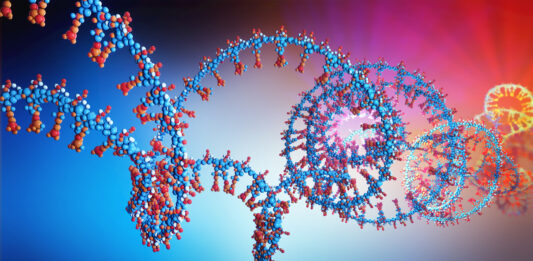 3d illustration of a  part of RNA chain from which the deoxyribonucleic acid or DNA is composed