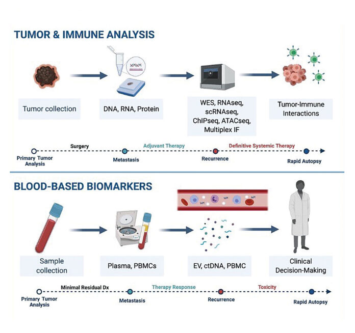 Predictive Biomarkers Brighten The Precision