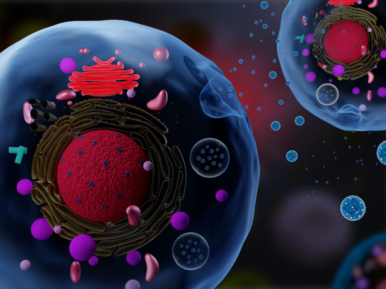 Engineering Exosomes for Clinical Applications