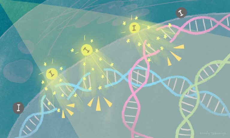 Destroying Cancer Cells by Enhancing Radiation Therapy