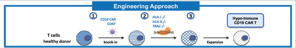 Sana Bio Engineering Approach