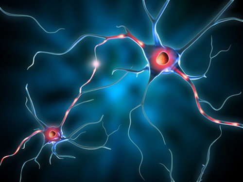 Discovery of Triplet Stabilizing Factor Fans Hope for Huntington’s and Other Repeat Expansion Disorders