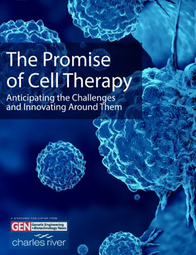 The Promise Of Cell Therapy: Anticipating The Challenges And Innovating 