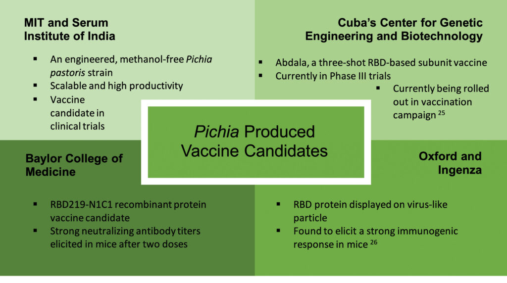 Pichia-produced vaccine candidates
