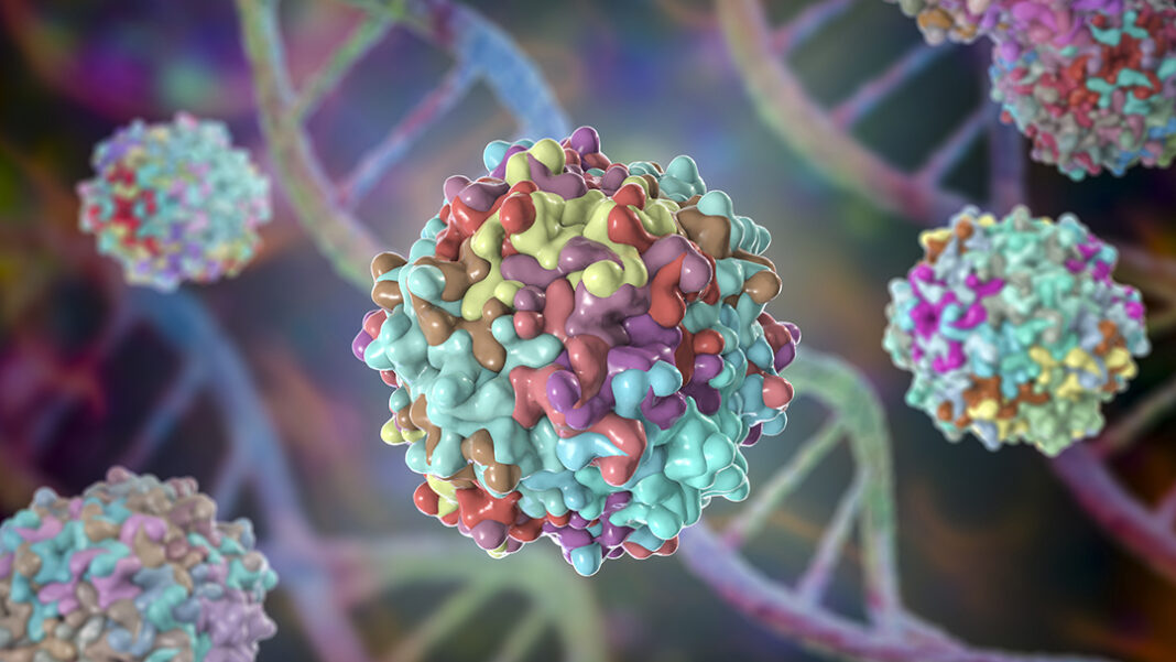 Adeno-associated viruses, 3D illustration