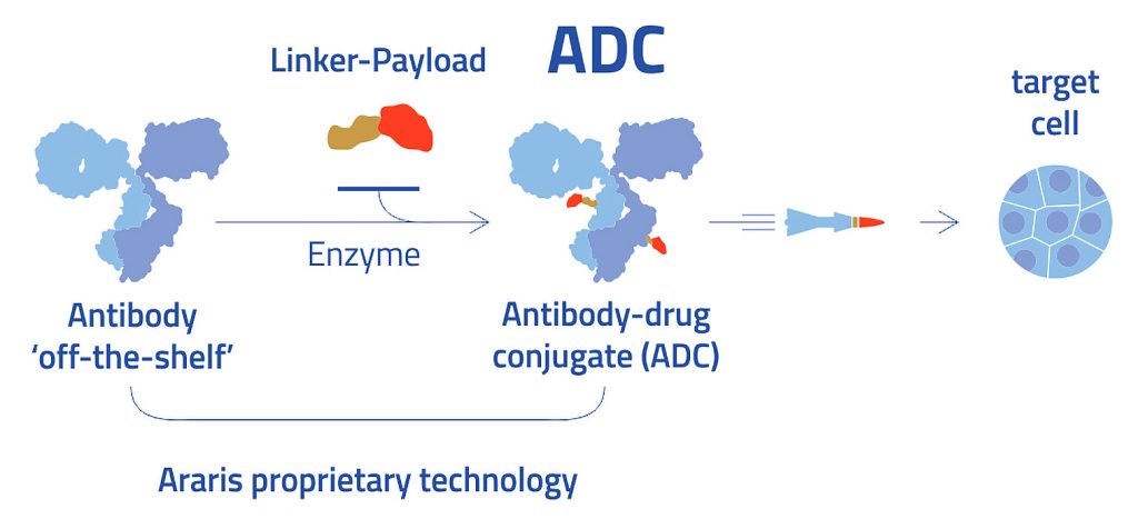 Araris Biotech’s peptide-based linker technology