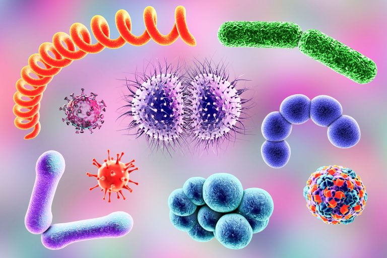 In Microbiome Therapeutics Manufacturing, Winning Extremophile/Additive Combos Found