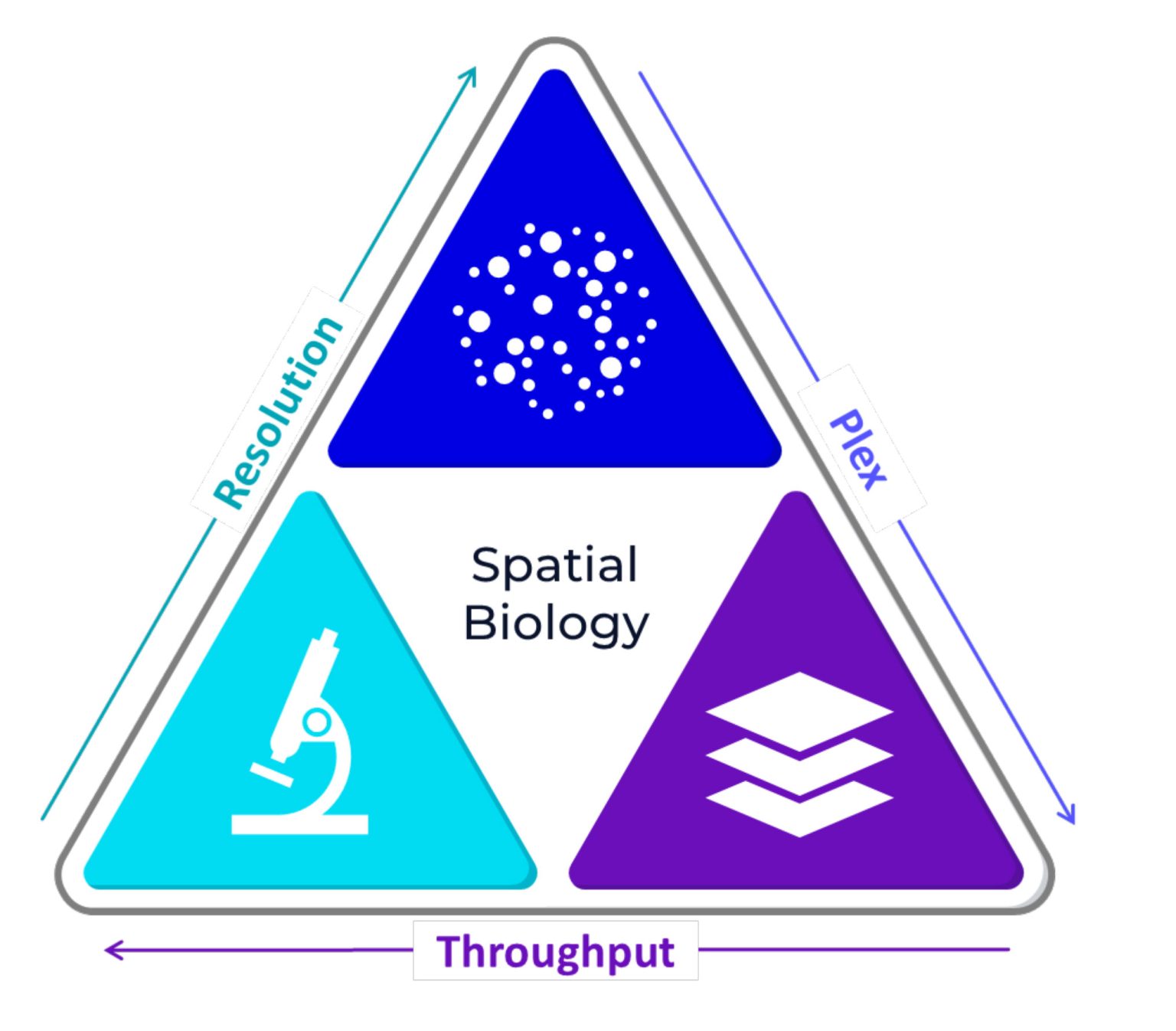 Setting a New Standard for Spatial Omics An Integrated Multiomics Approach