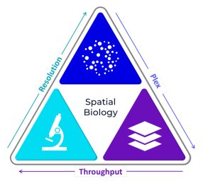Trifecta of Spatial Biology diagram