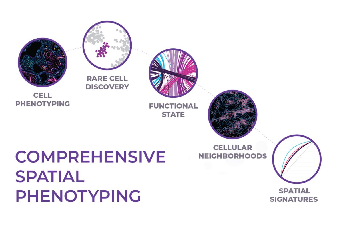 Shifting The Paradigm Of Modern Spatial Biology