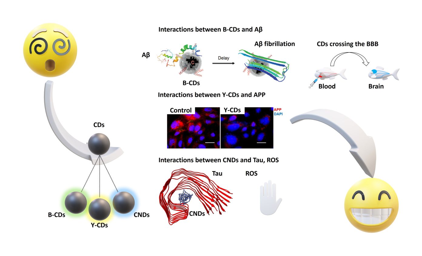 Carbon Dots For Nanomedicine