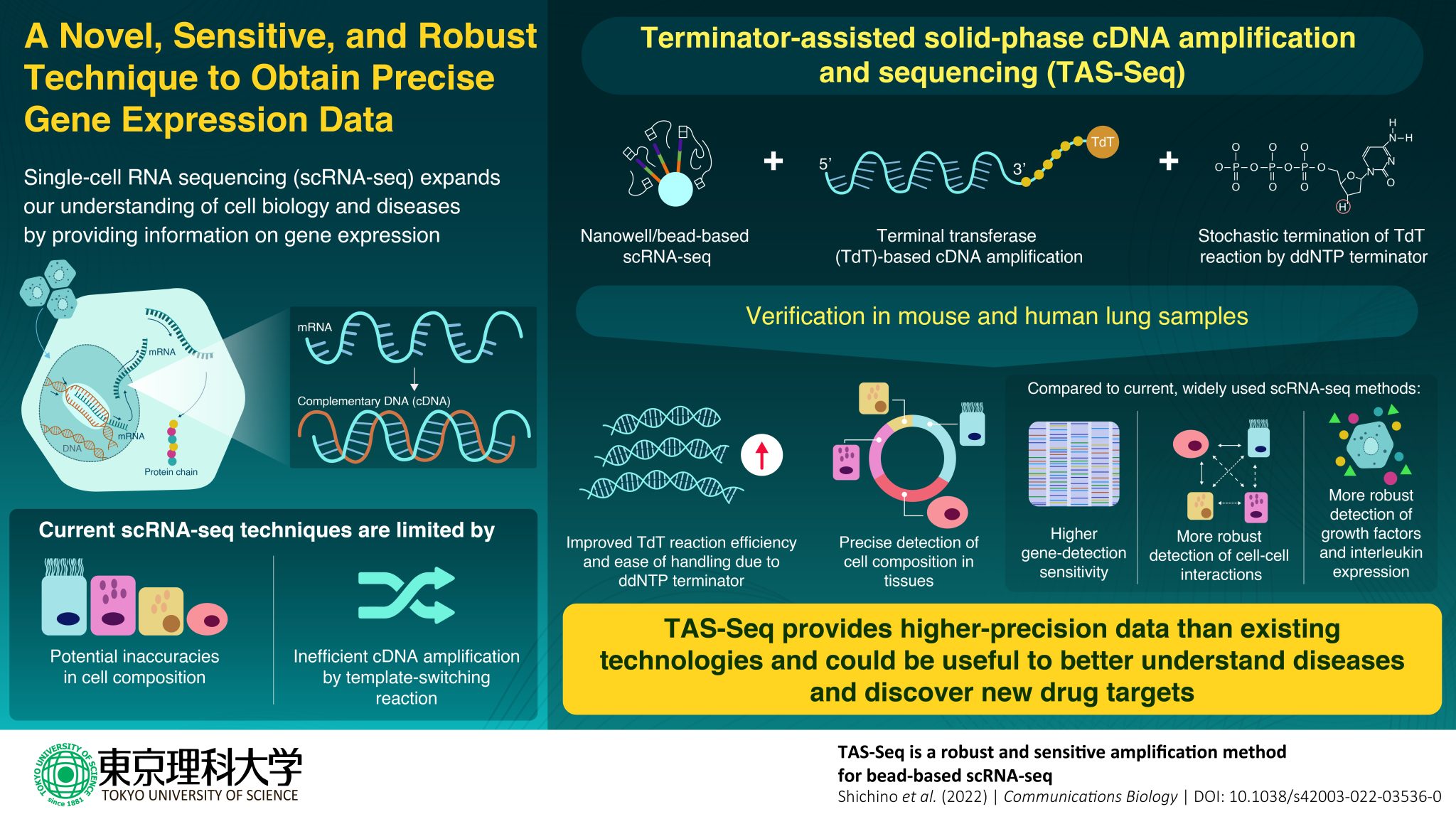 Terminator Upgrades Single-Cell RNA Sequencing Technology – Open Source ...