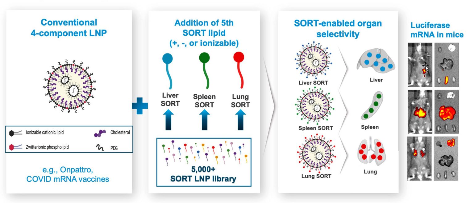 RNA Leaders Explore New Frontiers In MRNA-Based Medications