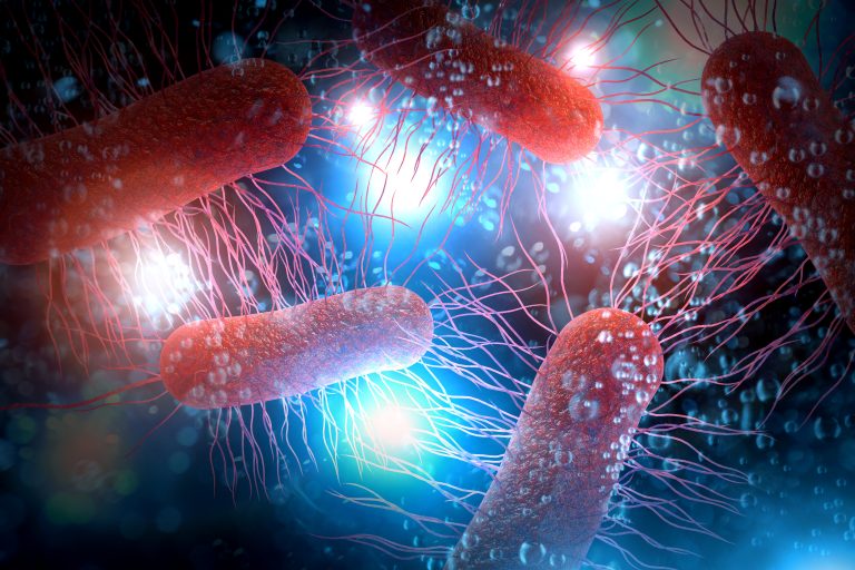 Engineered <i>E. coli</i> Blocks Intestinal Inflammation