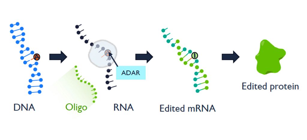 Adenosine Deaminase Acting on RNA (ADAR) enzymes