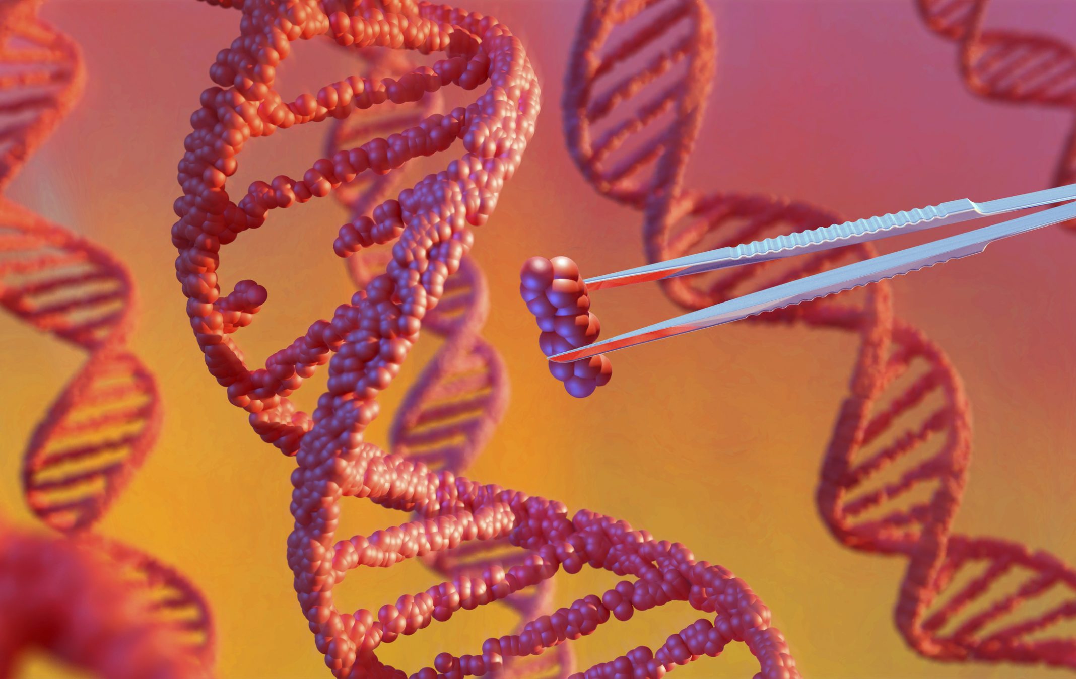 CRISPR-Cas9 Alternatives: Cutting through the Boundaries of Gene Editing