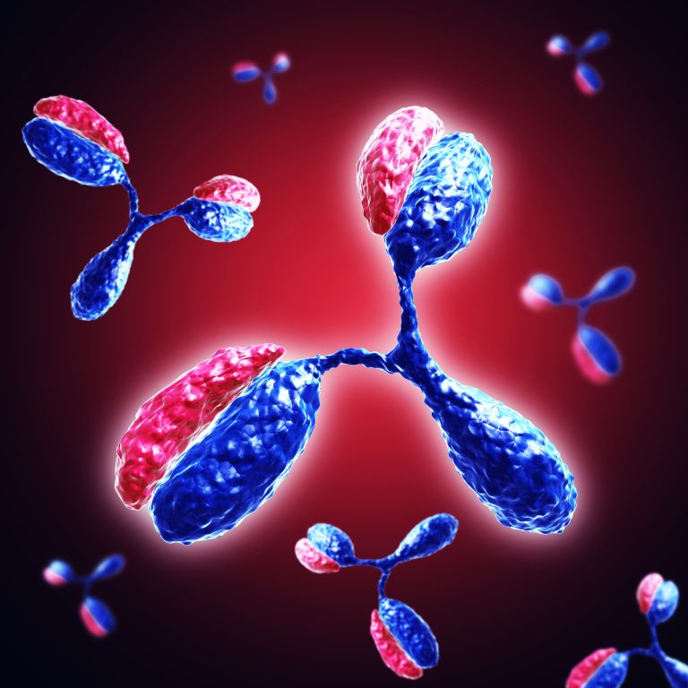 Spoilt for Choice: Polyclonal, Monoclonal, or Recombinant Antibodies