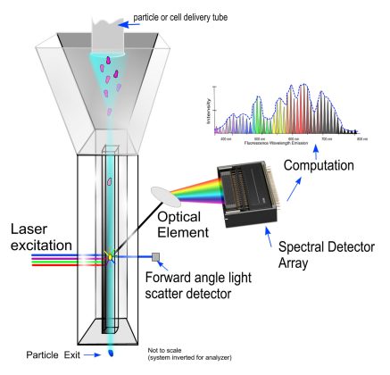 Flow Cytometry Rides Successive Waves of Innovation