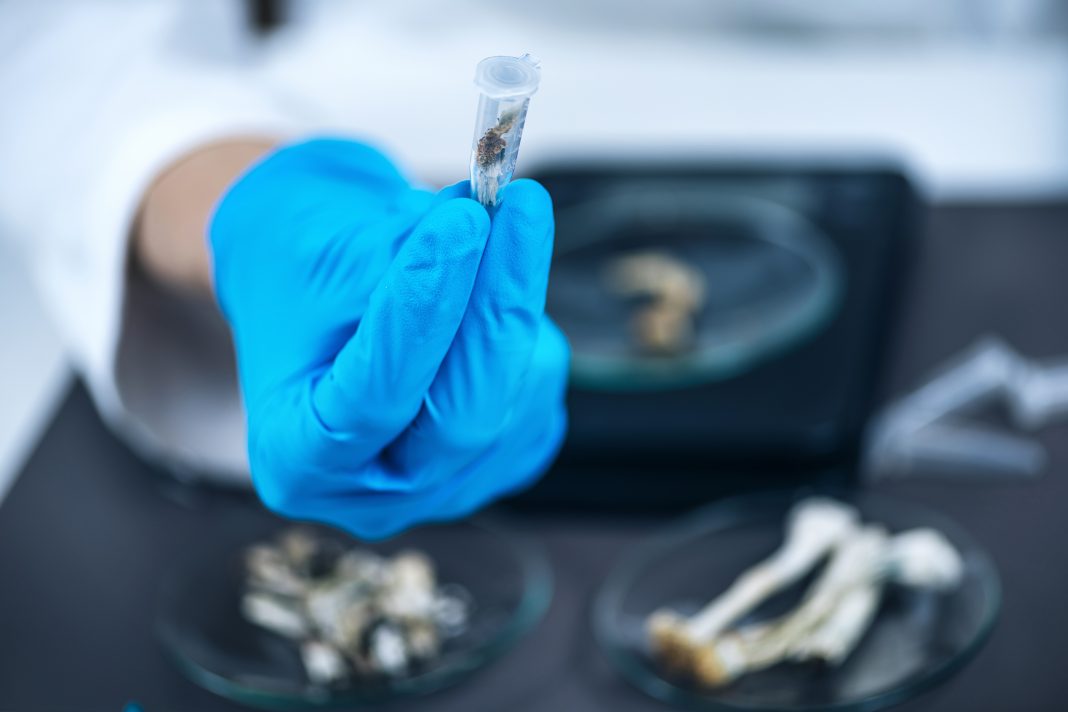 Laboratory technician holding daily dose in a micro tube