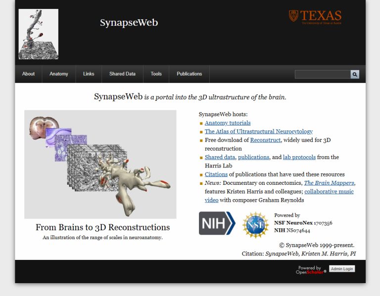 SynapseWeb