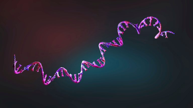 Engineered Enzymes Advance mRNA Therapeutics