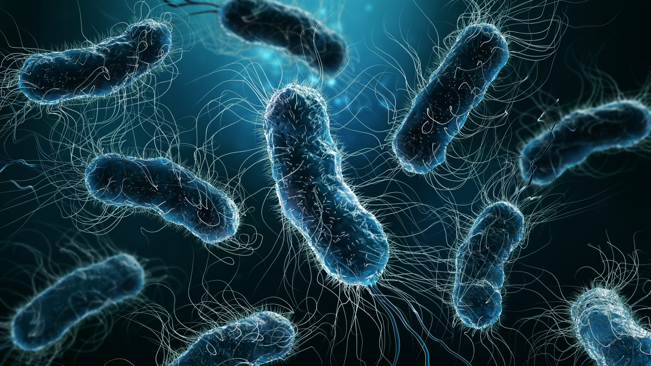 Antibiotic Resistant Evolution Of E Coli Mapped Using Fitness Landscapes