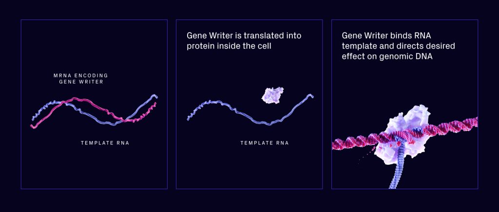 Tessera rna-based gene writing