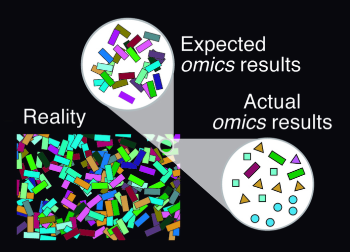 metagenomic analyses