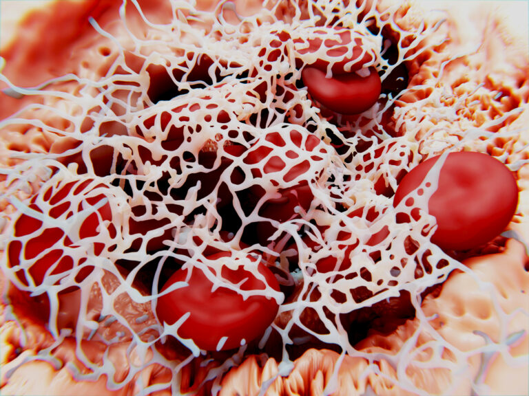 Blood Clotting Finding May Lead to New Approach to Improve Hemostasis