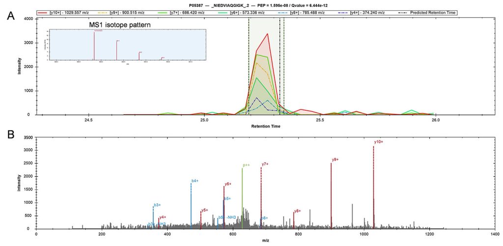 result of a dia-PASEF analysis performed by Biognosys’ Spectronaut 17 software