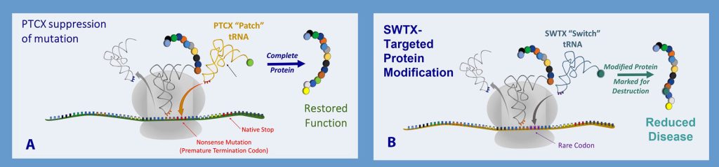 Repair Defective Proteins
